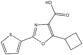 5-cyclobutyl-2-(thiophen-2-yl)-1,3-oxazole-4-carboxylic acid 化学構造式