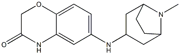 6-({8-methyl-8-azabicyclo[3.2.1]octan-3-yl}amino)-3,4-dihydro-2H-1,4-benzoxazin-3-one 化学構造式