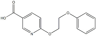 6-(2-phenoxyethoxy)pyridine-3-carboxylic acid Struktur