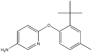  6-(2-tert-butyl-4-methylphenoxy)pyridin-3-amine