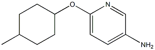 6-[(4-methylcyclohexyl)oxy]pyridin-3-amine