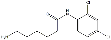 6-amino-N-(2,4-dichlorophenyl)hexanamide Structure