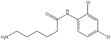 6-amino-N-(2,4-dichlorophenyl)hexanamide|