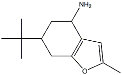 6-tert-butyl-2-methyl-4,5,6,7-tetrahydro-1-benzofuran-4-amine Structure