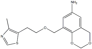 8-{[2-(4-methyl-1,3-thiazol-5-yl)ethoxy]methyl}-2,4-dihydro-1,3-benzodioxin-6-amine,,结构式