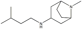 8-methyl-N-(3-methylbutyl)-8-azabicyclo[3.2.1]octan-3-amine 结构式