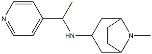 8-methyl-N-[1-(pyridin-4-yl)ethyl]-8-azabicyclo[3.2.1]octan-3-amine Struktur