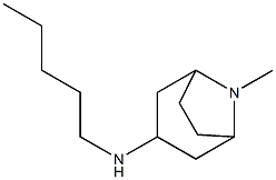 8-methyl-N-pentyl-8-azabicyclo[3.2.1]octan-3-amine Struktur