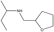 butan-2-yl(oxolan-2-ylmethyl)amine|