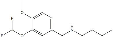  butyl({[3-(difluoromethoxy)-4-methoxyphenyl]methyl})amine