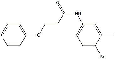 N-(4-bromo-3-methylphenyl)-3-phenoxypropanamide Structure