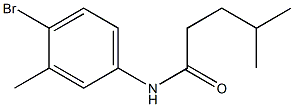 N-(4-bromo-3-methylphenyl)-4-methylpentanamide Struktur