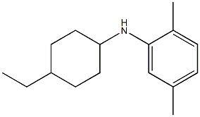 N-(4-ethylcyclohexyl)-2,5-dimethylaniline Structure