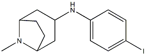  N-(4-iodophenyl)-8-methyl-8-azabicyclo[3.2.1]octan-3-amine