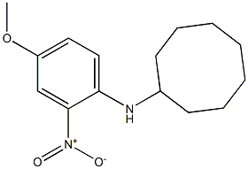 N-(4-methoxy-2-nitrophenyl)cyclooctanamine,,结构式