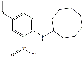 N-(4-methoxy-2-nitrophenyl)cyclooctanamine