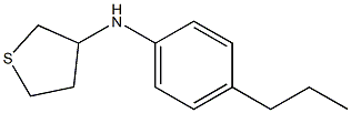 N-(4-propylphenyl)thiolan-3-amine,,结构式