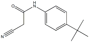 N-(4-tert-butylphenyl)-2-cyanoacetamide Struktur