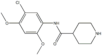 N-(5-chloro-2,4-dimethoxyphenyl)piperidine-4-carboxamide Struktur