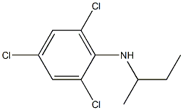 N-(butan-2-yl)-2,4,6-trichloroaniline Structure