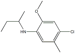 N-(butan-2-yl)-4-chloro-2-methoxy-5-methylaniline