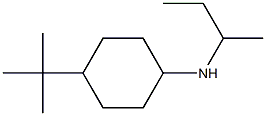 N-(butan-2-yl)-4-tert-butylcyclohexan-1-amine 结构式