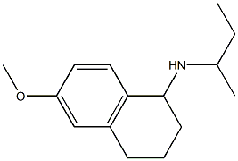 N-(butan-2-yl)-6-methoxy-1,2,3,4-tetrahydronaphthalen-1-amine Structure