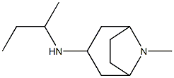 N-(butan-2-yl)-8-methyl-8-azabicyclo[3.2.1]octan-3-amine 化学構造式