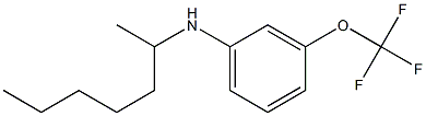 N-(heptan-2-yl)-3-(trifluoromethoxy)aniline Struktur