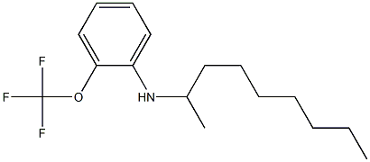 N-(nonan-2-yl)-2-(trifluoromethoxy)aniline 结构式