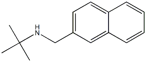 N-(tert-butyl)-N-(2-naphthylmethyl)amine