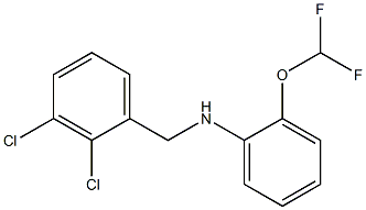 N-[(2,3-dichlorophenyl)methyl]-2-(difluoromethoxy)aniline 结构式
