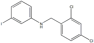 N-[(2,4-dichlorophenyl)methyl]-3-iodoaniline Struktur