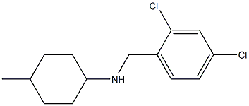 N-[(2,4-dichlorophenyl)methyl]-4-methylcyclohexan-1-amine Struktur