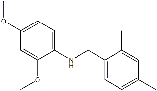 N-[(2,4-dimethylphenyl)methyl]-2,4-dimethoxyaniline,,结构式