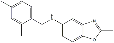 N-[(2,4-dimethylphenyl)methyl]-2-methyl-1,3-benzoxazol-5-amine