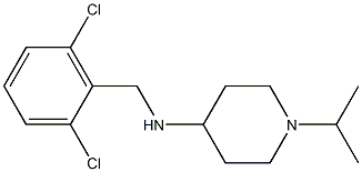 N-[(2,6-dichlorophenyl)methyl]-1-(propan-2-yl)piperidin-4-amine Structure