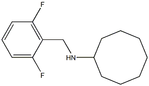 N-[(2,6-difluorophenyl)methyl]cyclooctanamine