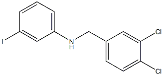 N-[(3,4-dichlorophenyl)methyl]-3-iodoaniline,,结构式
