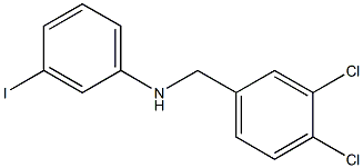 N-[(3,4-dichlorophenyl)methyl]-3-iodoaniline