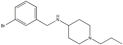 N-[(3-bromophenyl)methyl]-1-propylpiperidin-4-amine Struktur