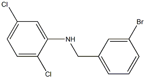 N-[(3-bromophenyl)methyl]-2,5-dichloroaniline,,结构式