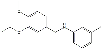  N-[(3-ethoxy-4-methoxyphenyl)methyl]-3-iodoaniline