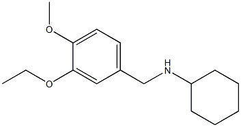 N-[(3-ethoxy-4-methoxyphenyl)methyl]cyclohexanamine,,结构式