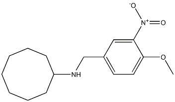 N-[(4-methoxy-3-nitrophenyl)methyl]cyclooctanamine