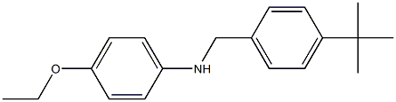 N-[(4-tert-butylphenyl)methyl]-4-ethoxyaniline 化学構造式