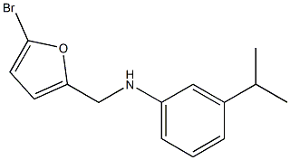 N-[(5-bromofuran-2-yl)methyl]-3-(propan-2-yl)aniline 结构式