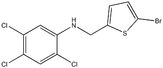 N-[(5-bromothiophen-2-yl)methyl]-2,4,5-trichloroaniline Structure