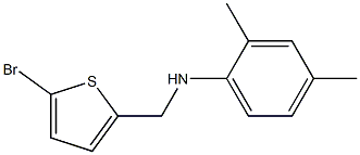 N-[(5-bromothiophen-2-yl)methyl]-2,4-dimethylaniline Struktur