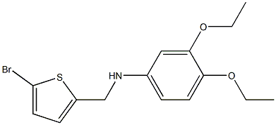 N-[(5-bromothiophen-2-yl)methyl]-3,4-diethoxyaniline 结构式